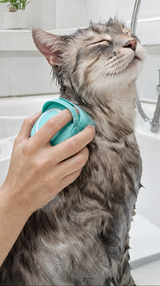 Cepillo de Baño para Mascotas — Masajeador de Silicona con Dispensador de Shampoo