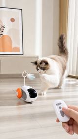 Auto de Juguete para Gatos con Control Remoto — Sensor Anti-Obstáculos y Carga USB-C